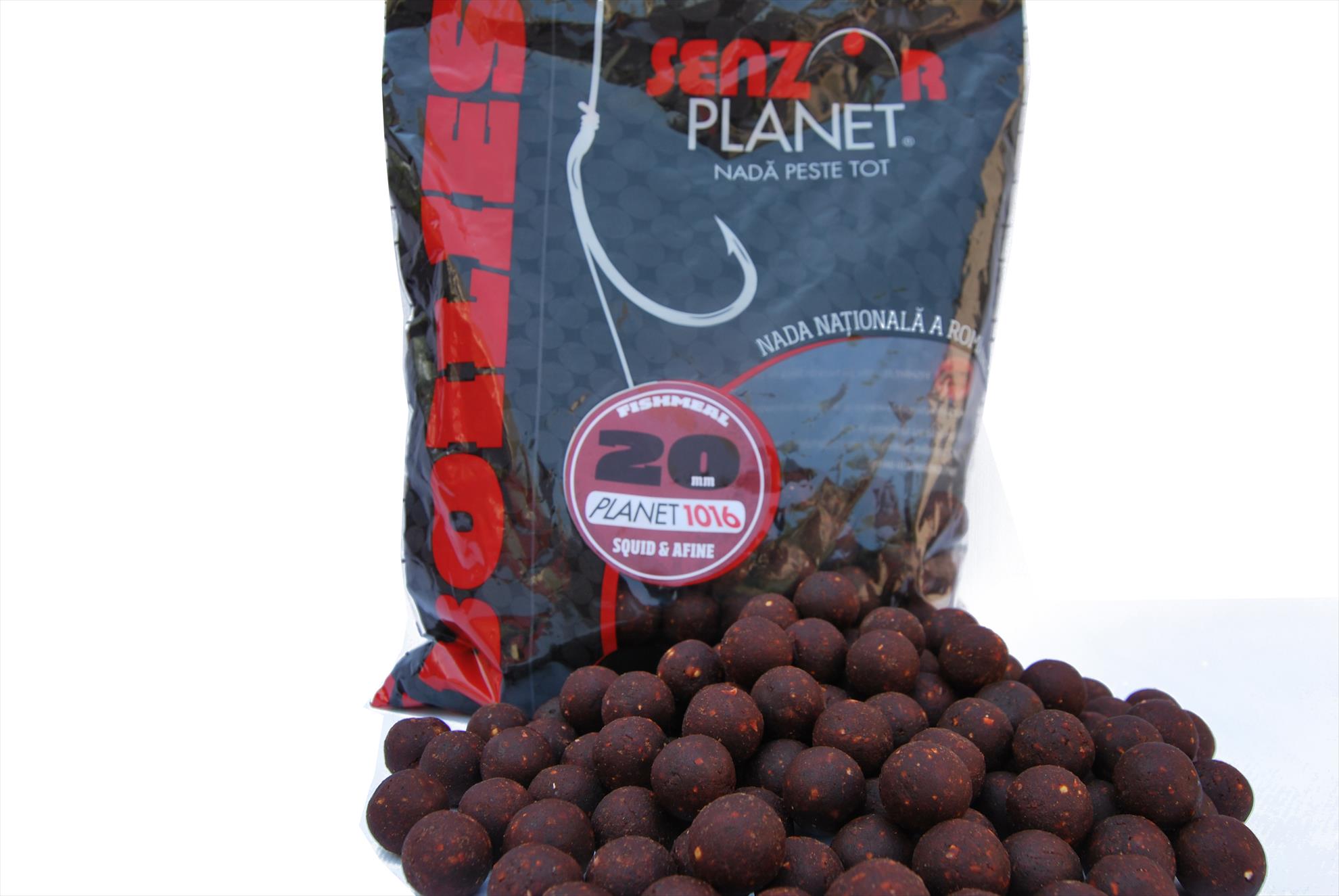 AUGUST 2013 - snz-025.jpg